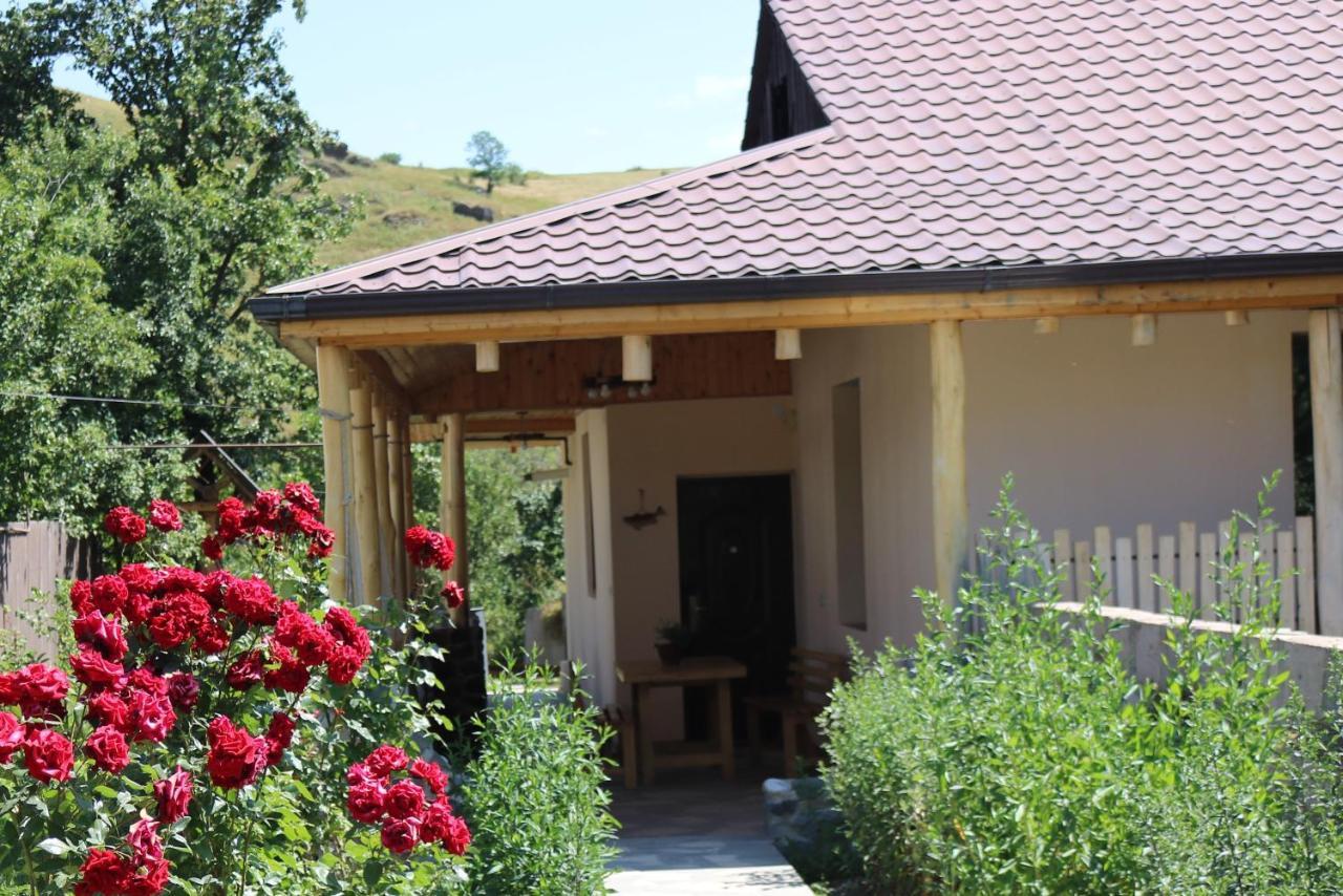 Villa Shamakhyan Dilijan Bagian luar foto
