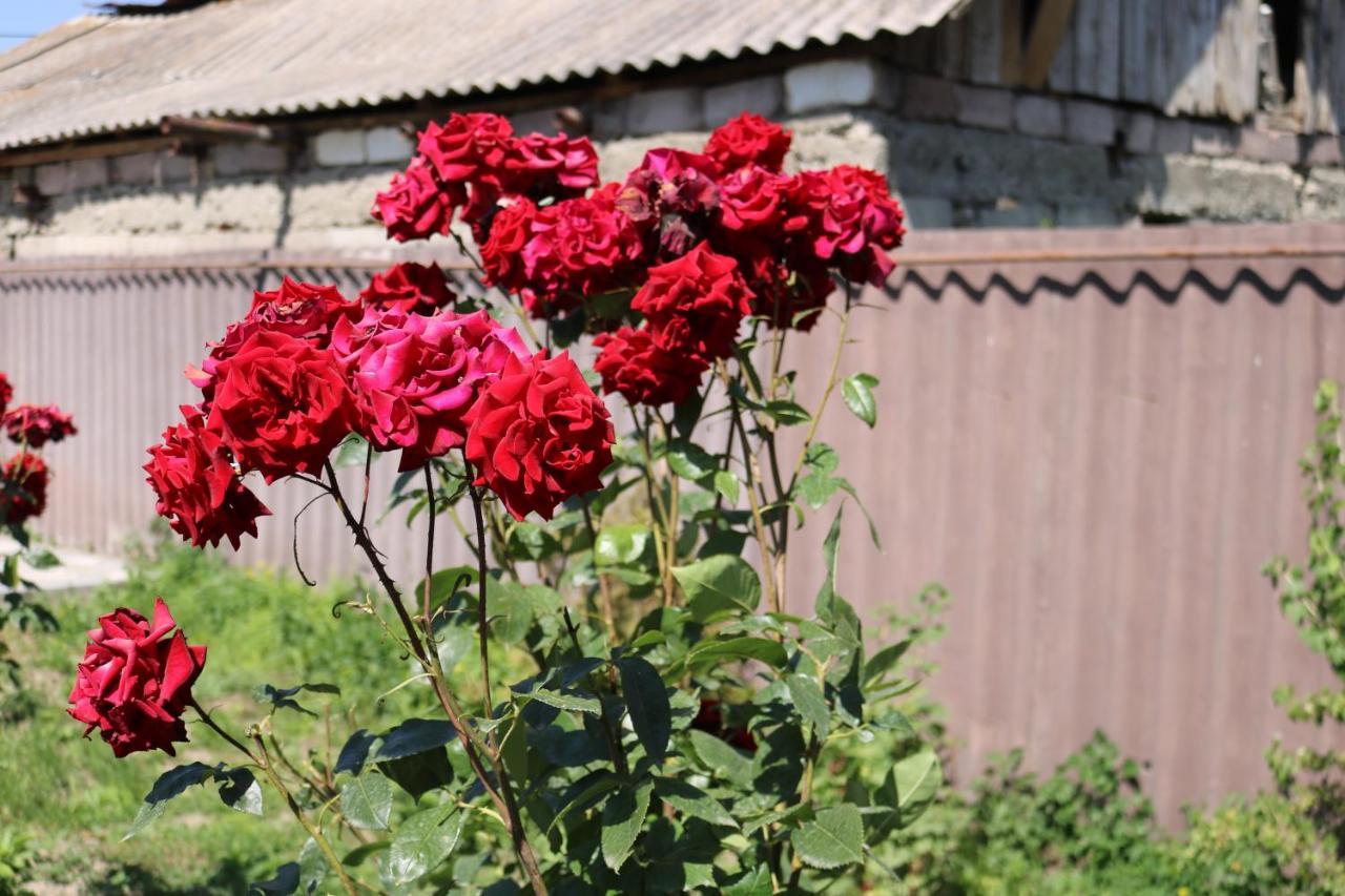 Villa Shamakhyan Dilijan Bagian luar foto