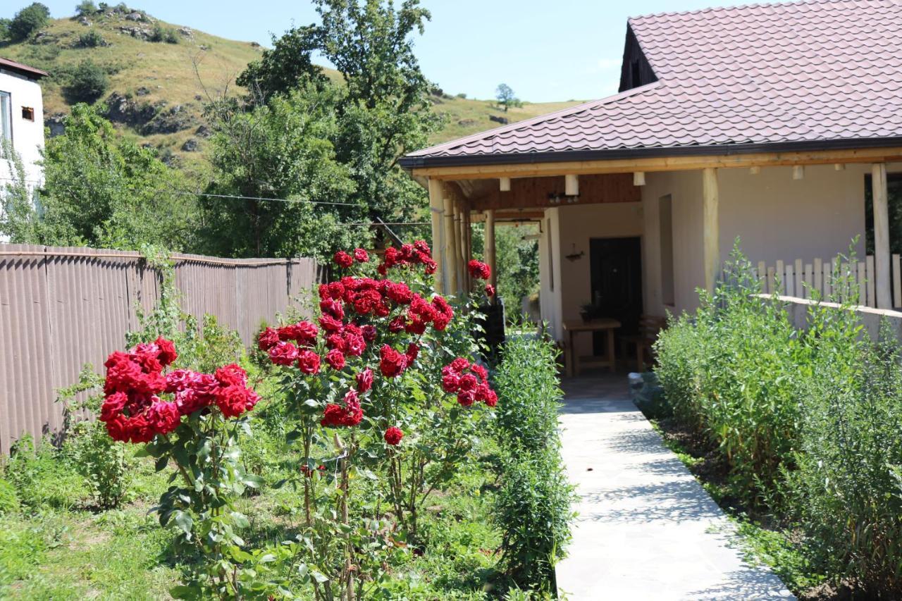 Villa Shamakhyan Dilijan Bagian luar foto