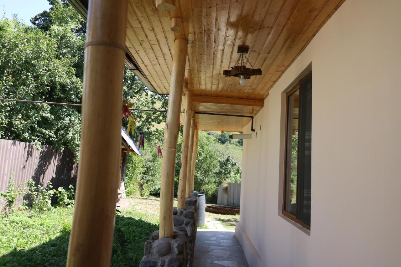 Villa Shamakhyan Dilijan Bagian luar foto